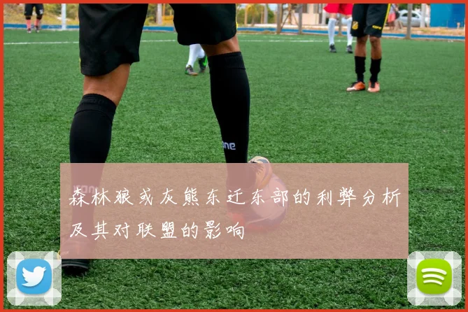 森林狼或灰熊东迁东部的利弊分析及其对联盟的影响